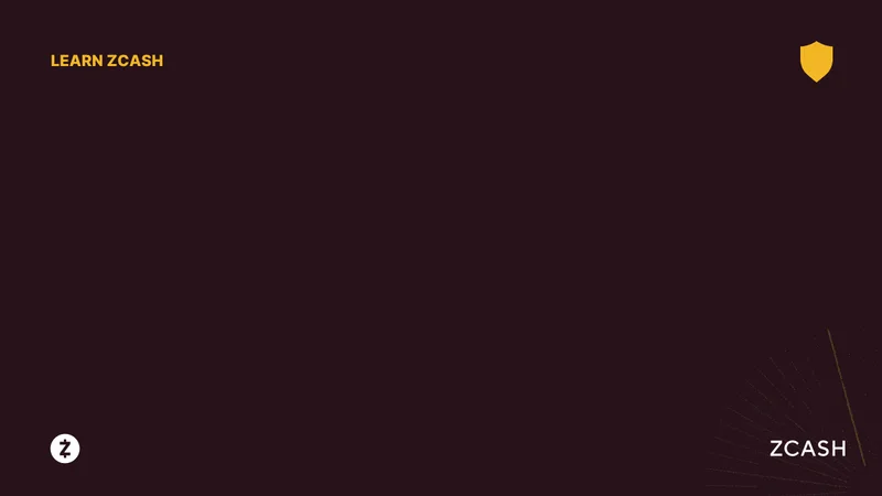 Zcash and Bitcoin: Privacy Concerns vs. Price Predictions – What Reddit is Saying